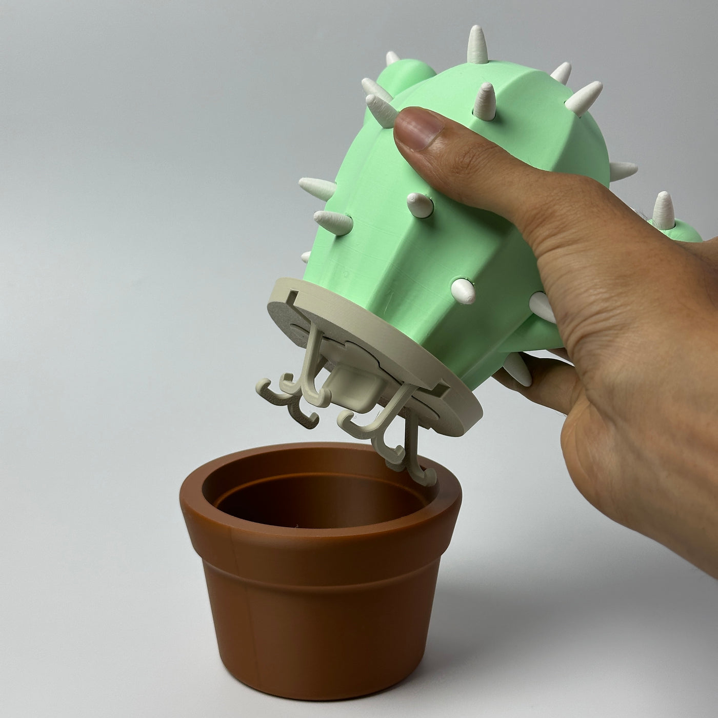 Cacticharm Jewelry Holder