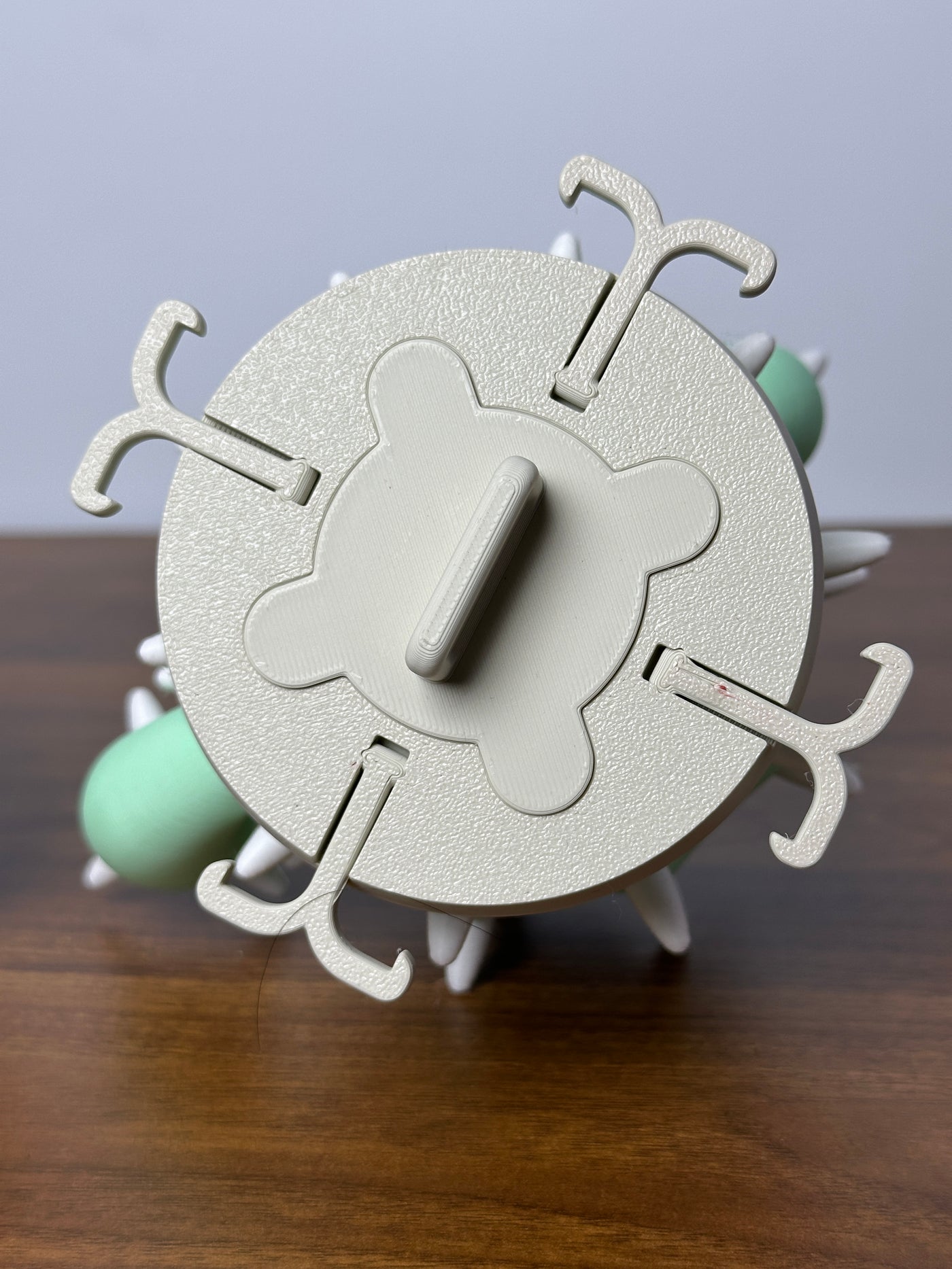 Cacticharm Jewelry Holder