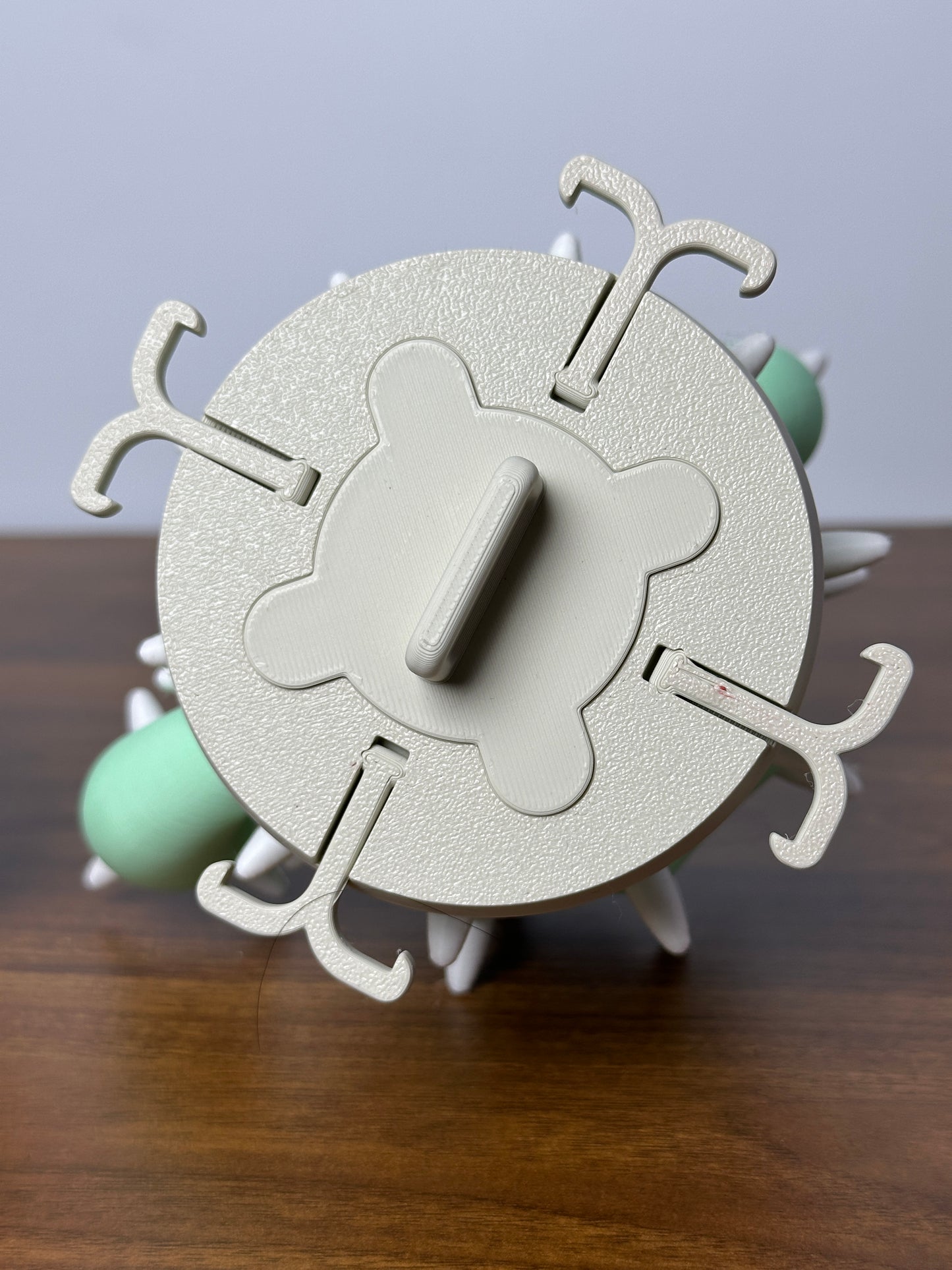 Cacticharm Jewelry Holder