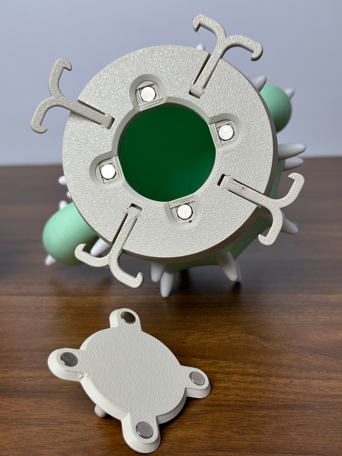 Cacticharm Jewelry Holder