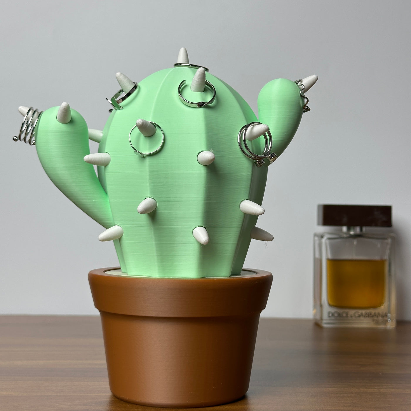 Cacticharm Jewelry Holder