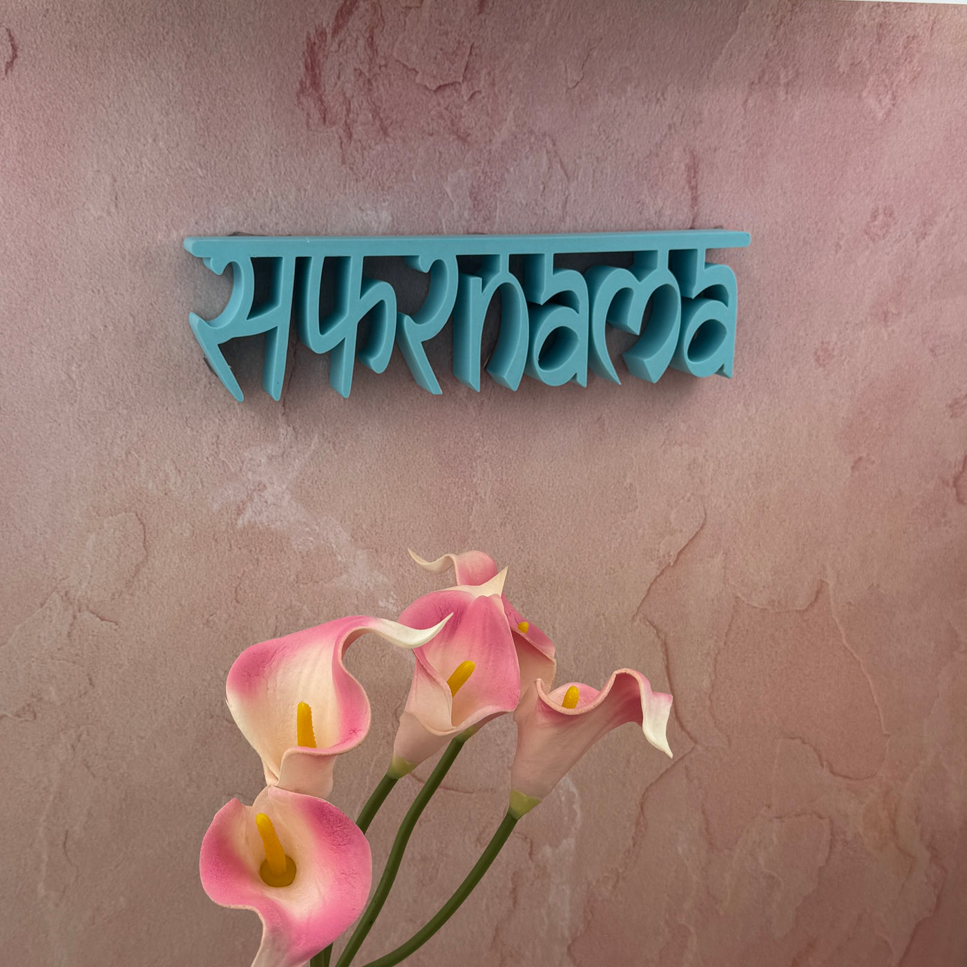 Safarnama