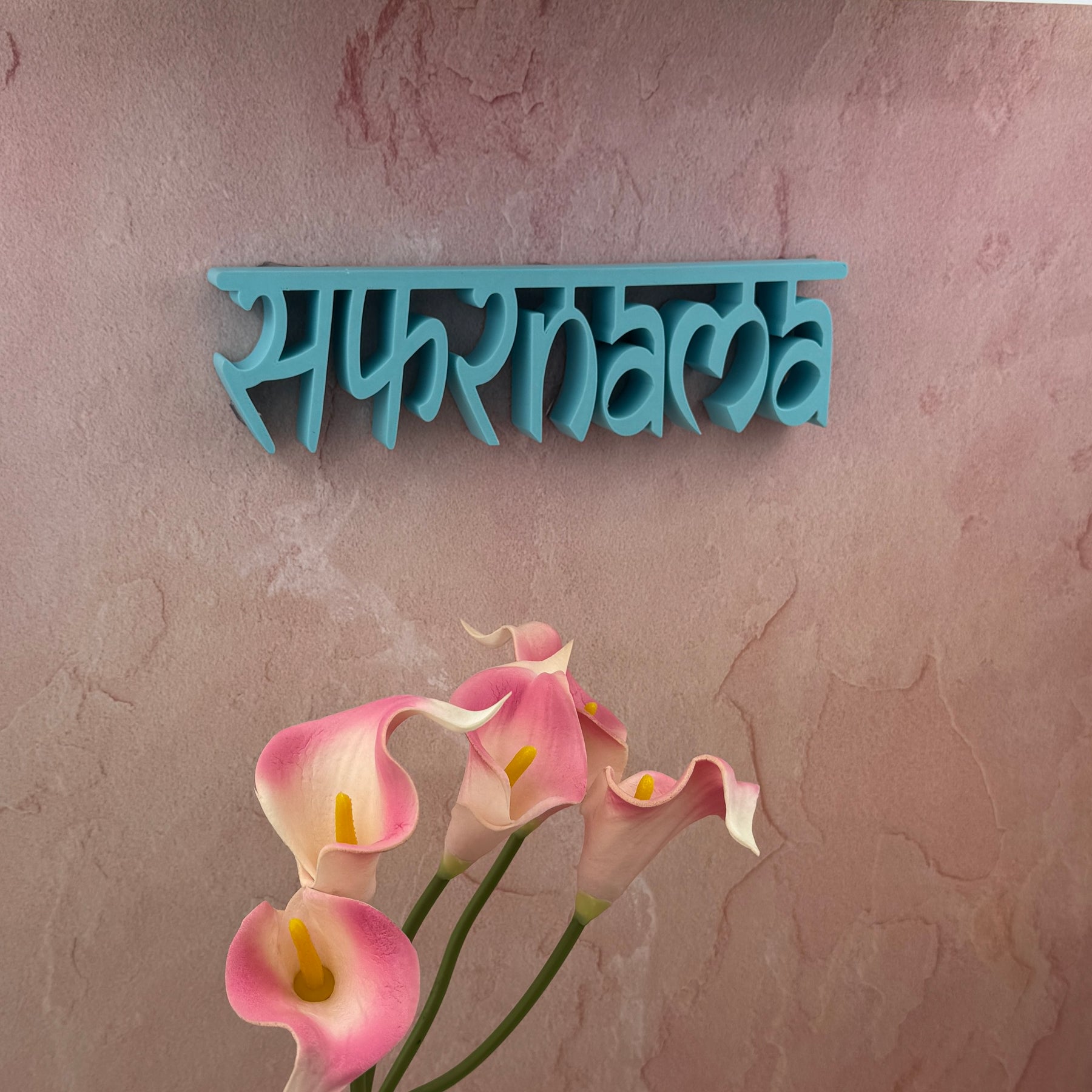 Safarnama